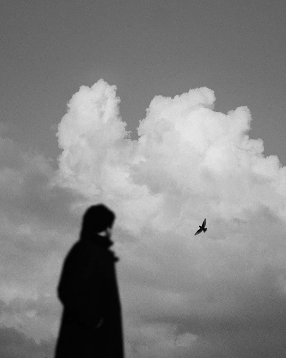 black-and-white grayscale photography of silhouette of a person and a bird cloud