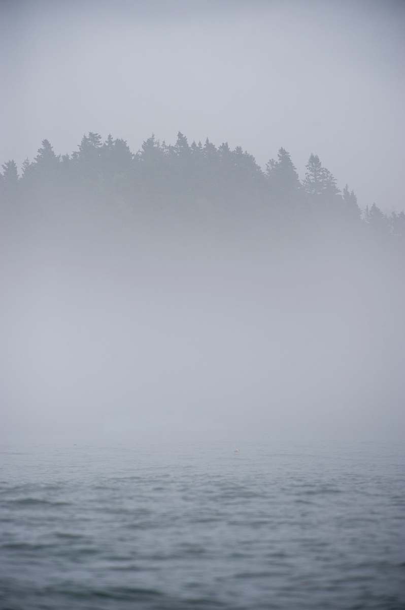 fog landscape photography of island maine