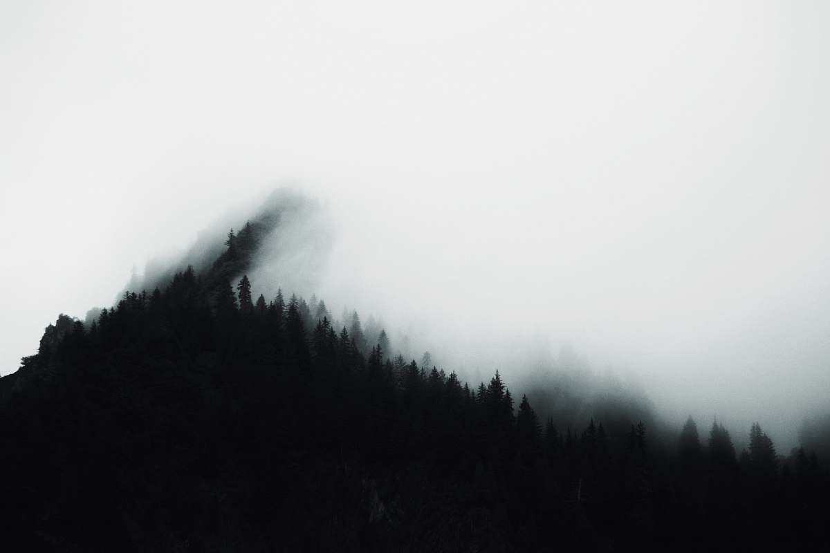 fog silhouette of mountain forest