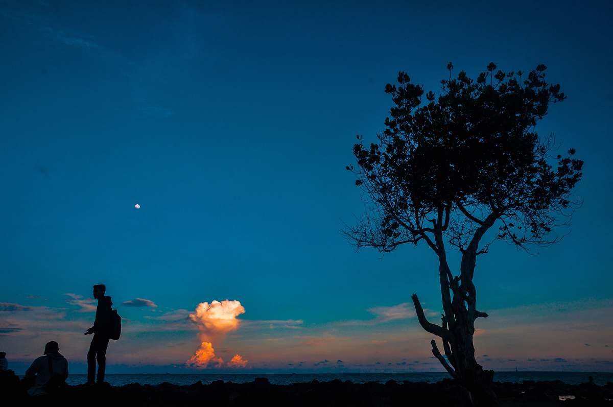 person person standing beside person sitting near tree nature