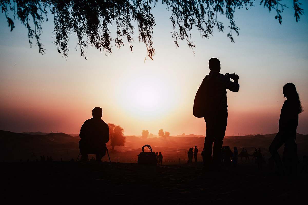 person silhouette of three person near tree flare