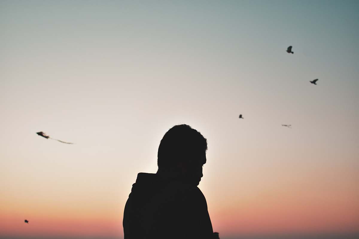 animal silhouette photography of man standing bird