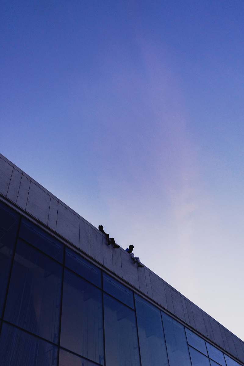 animal architectural photography of blue and gray building bird