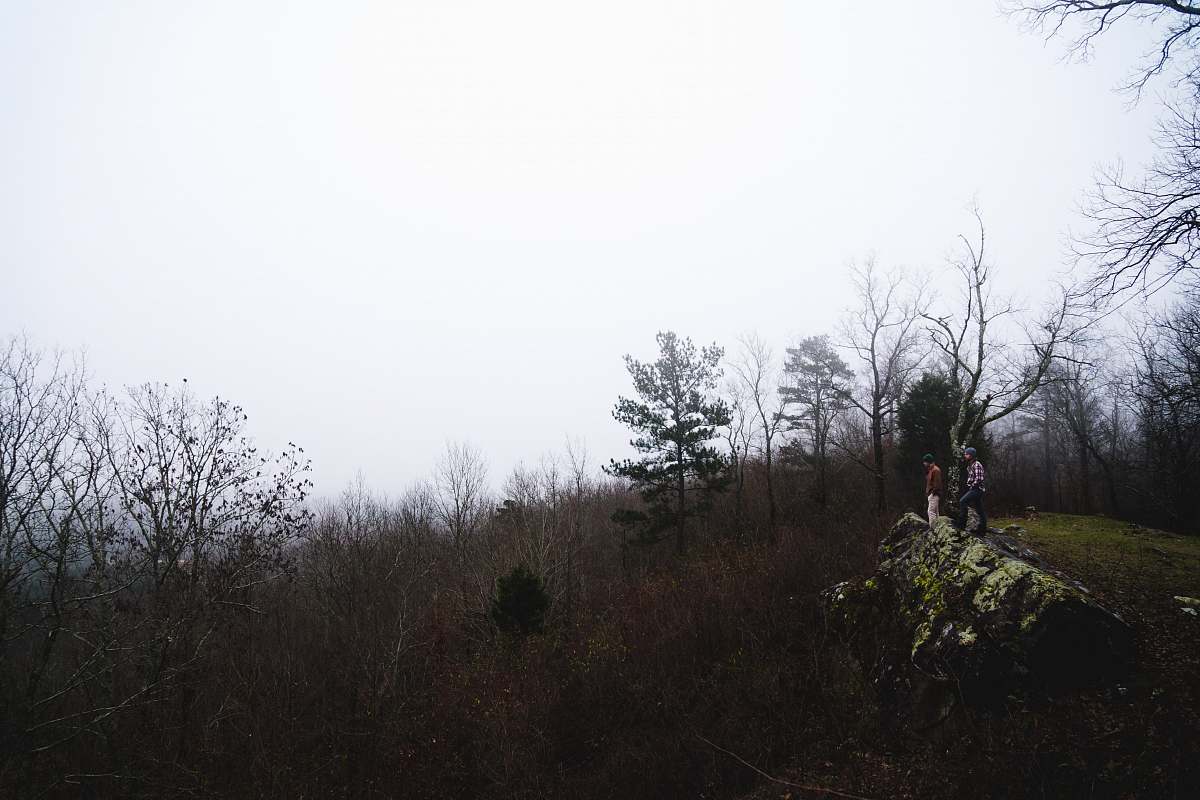trees brown fields during daytime photography hike