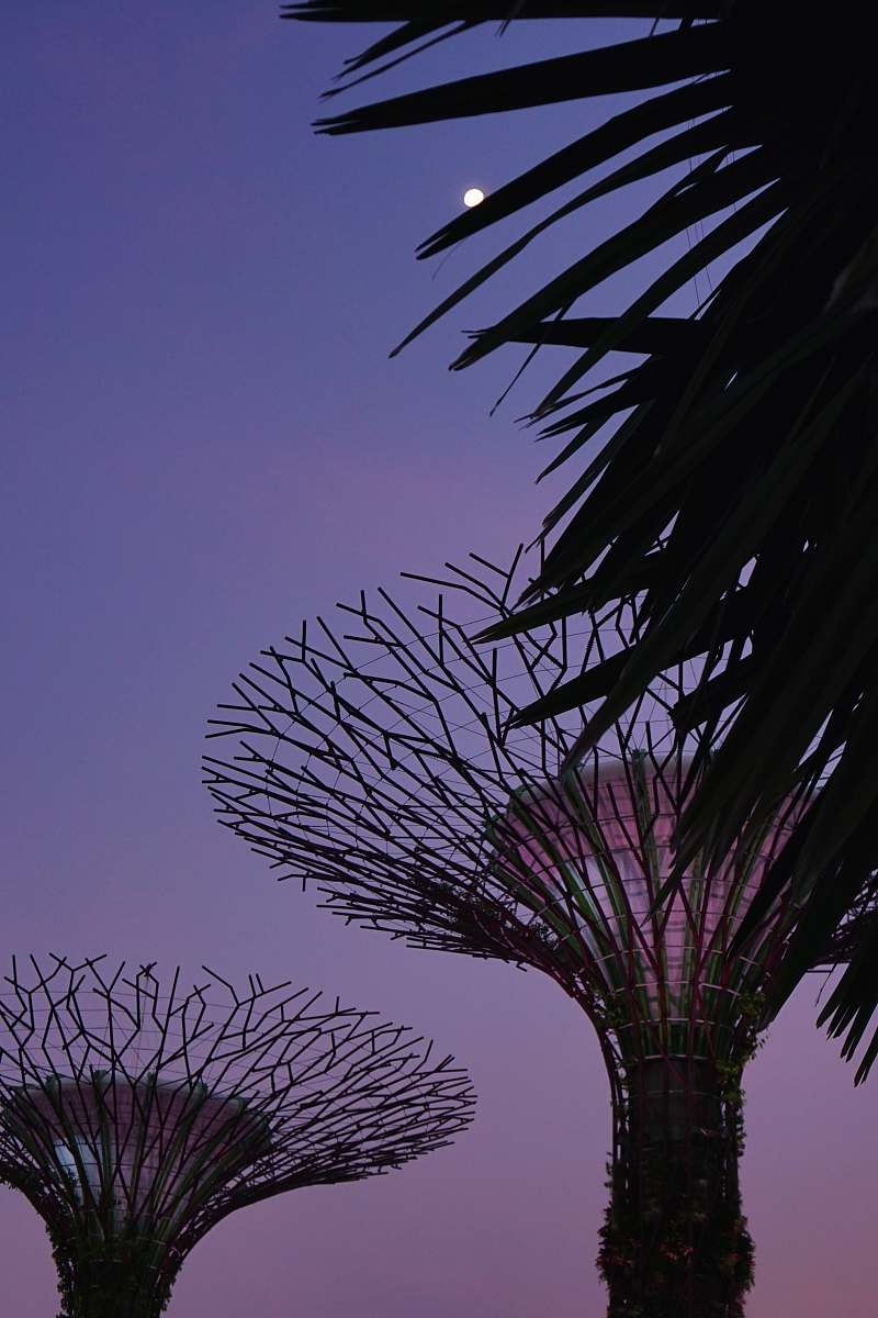 silhouette Gardens at the Bay outdoors