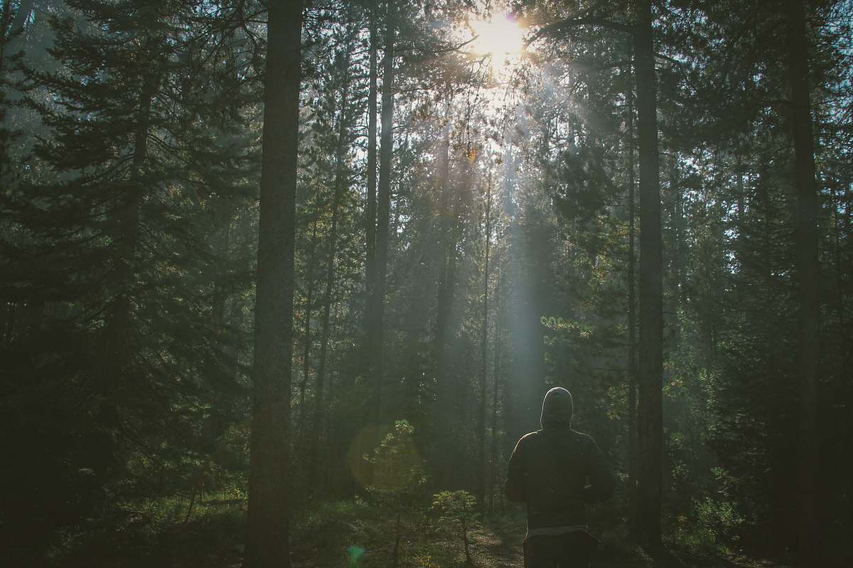 tree man standing in the forest forest