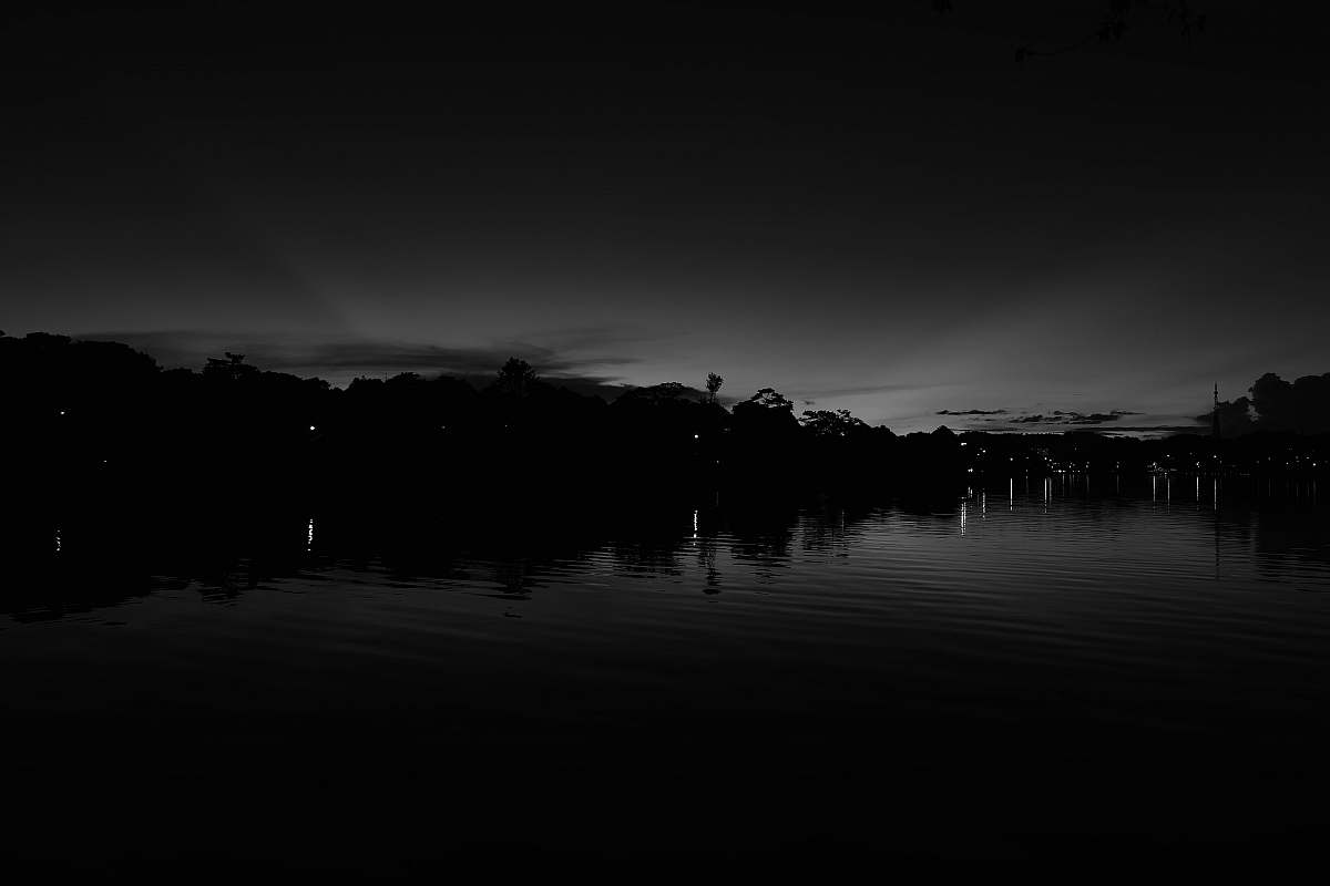 outdoors reflection of trees in water black-and-white