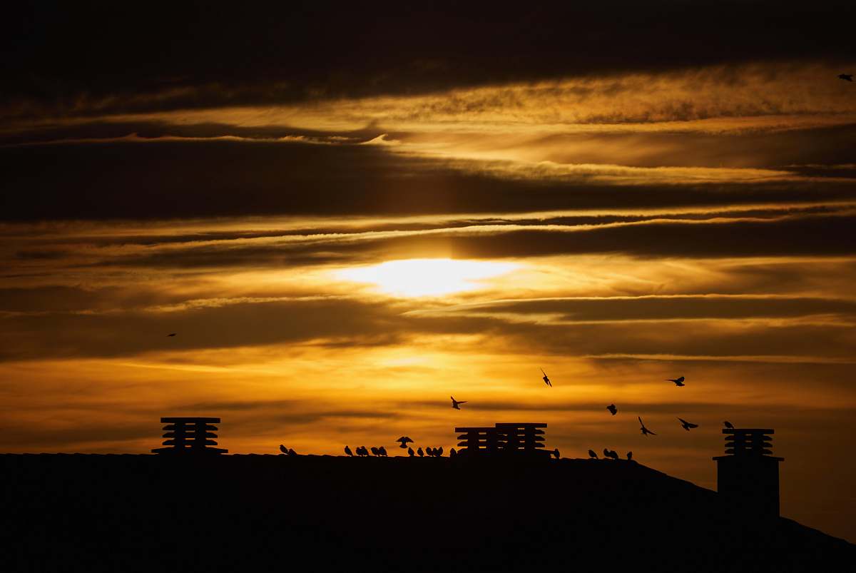 silhouette silhouette of buildings under cloudy sky during golden hour sunlight