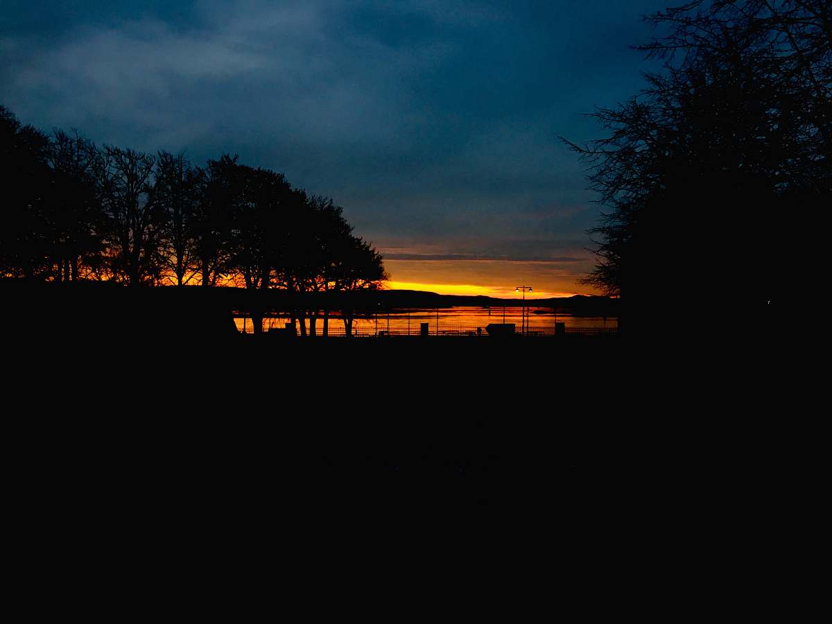 outdoors silhouette of trees and lake sunset scenery dawn