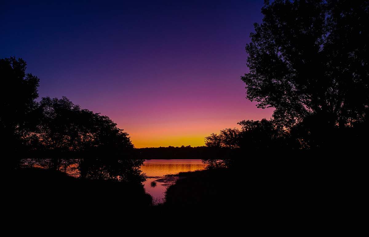 outdoors silhouette of trees sunset sunset