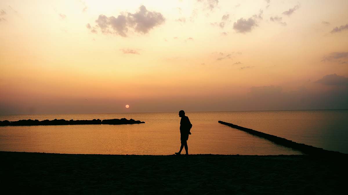 human silhouette photography of man walking along seashore during golden hour person