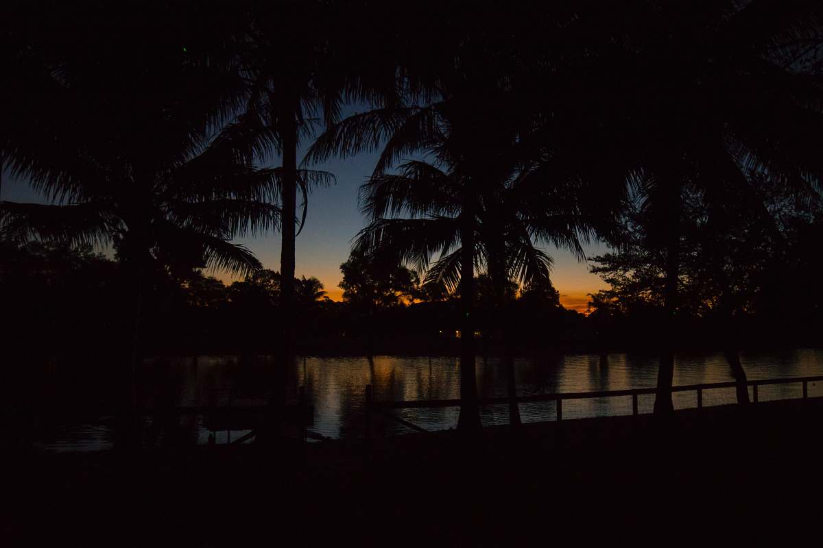 silhouette silhouette photography of palm trees outdoors
