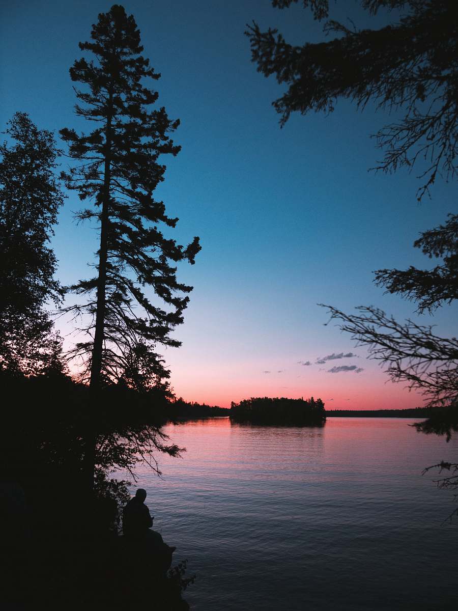 outdoors silhouette photography of trees beside water silhouette
