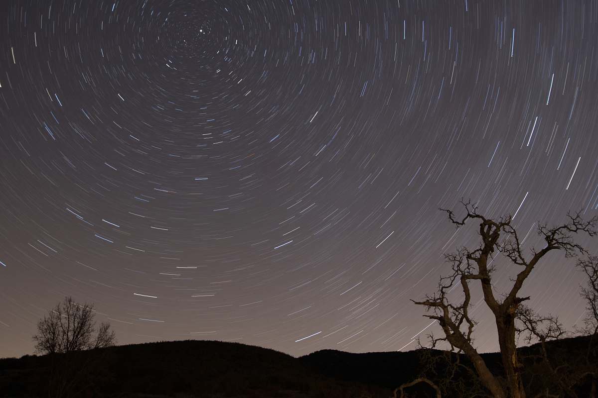 tree milky way galaxy sky grey