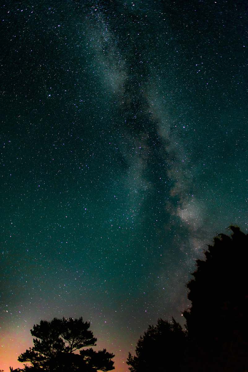 astronomy silhouette of tall trees under milkyway galaxy