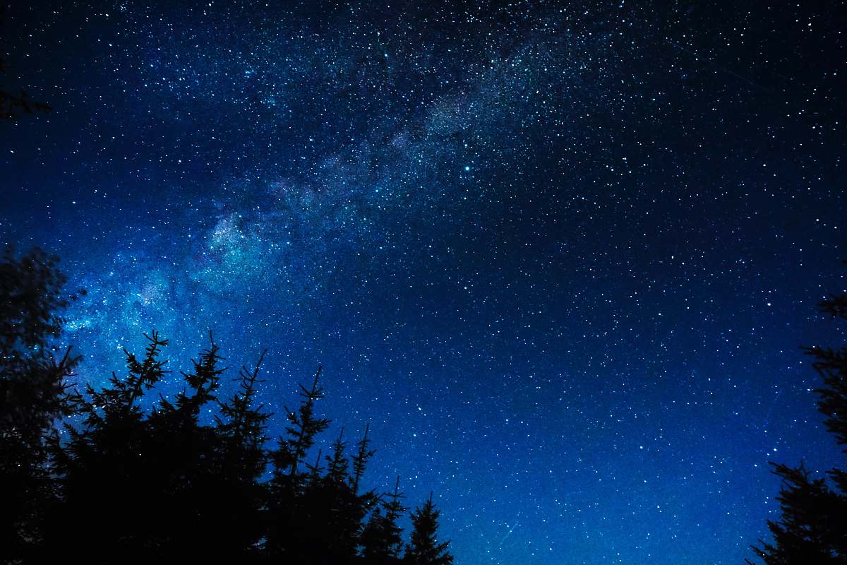 galaxy silhouette of trees under night stars blue
