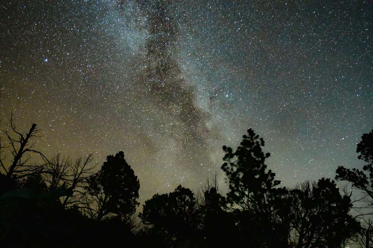 galaxy silhouette of trees under starry sky universe