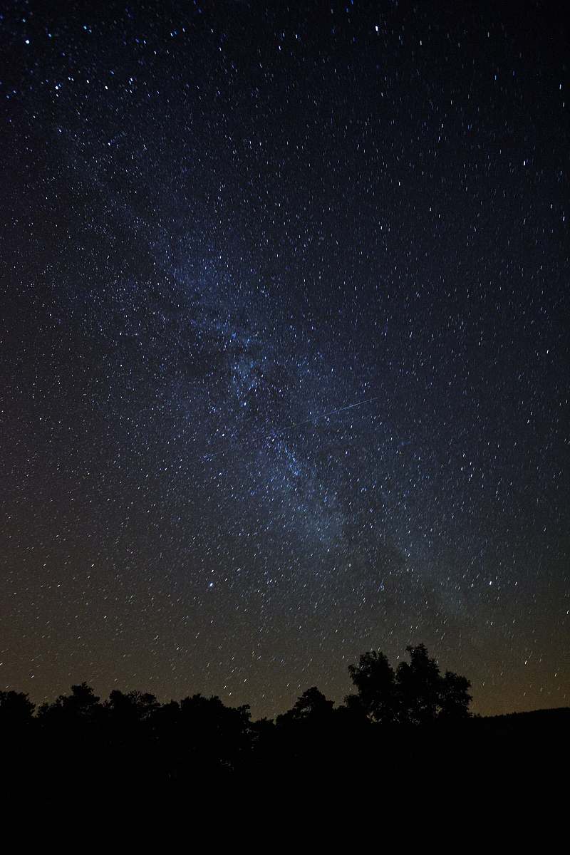 galaxy silhouette of trees under stars stars