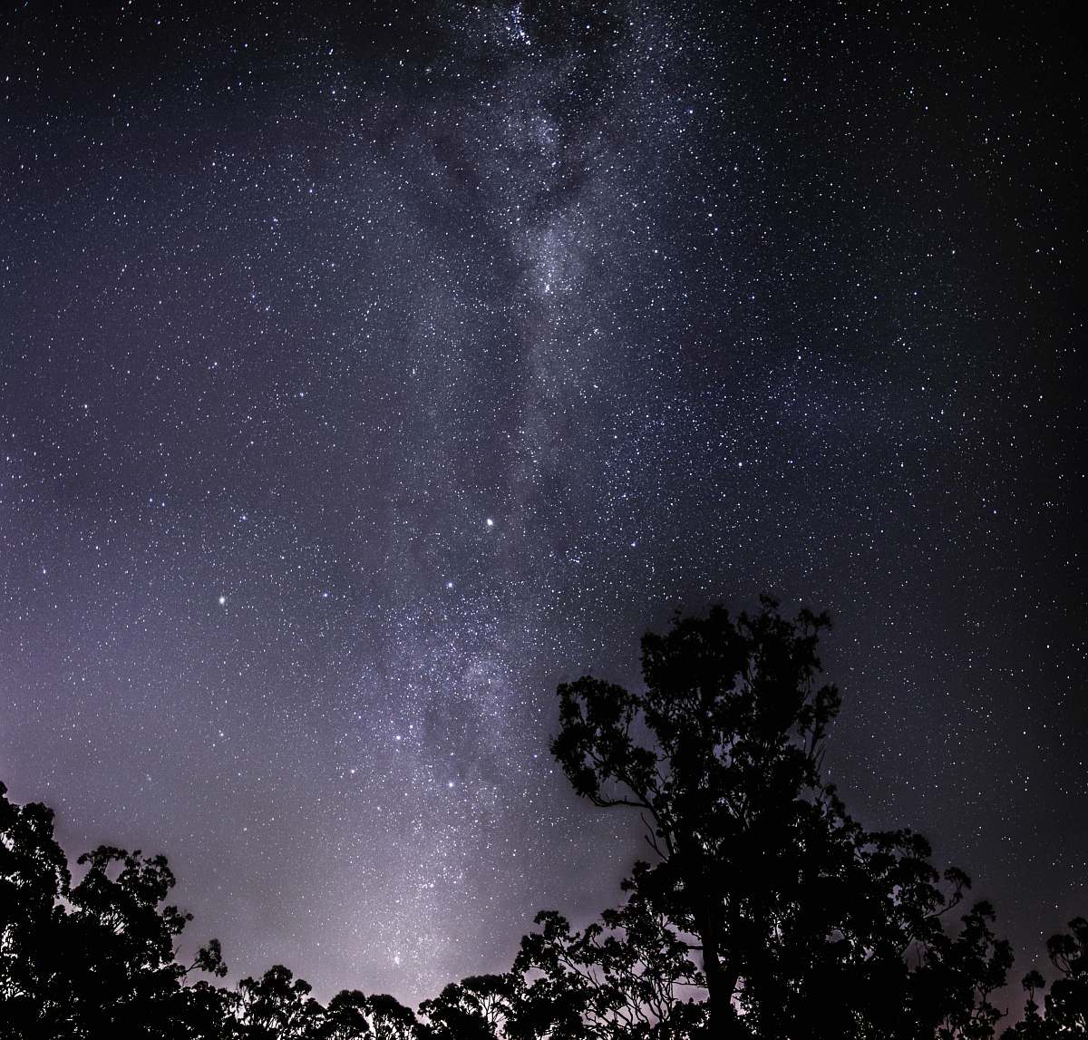galaxy silhouette photo of trees during nighttime astronomy