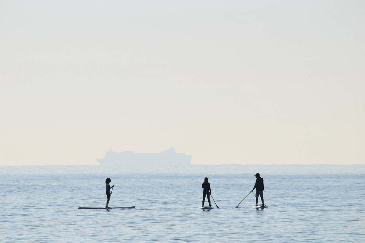 sea people riding on paddle boards water