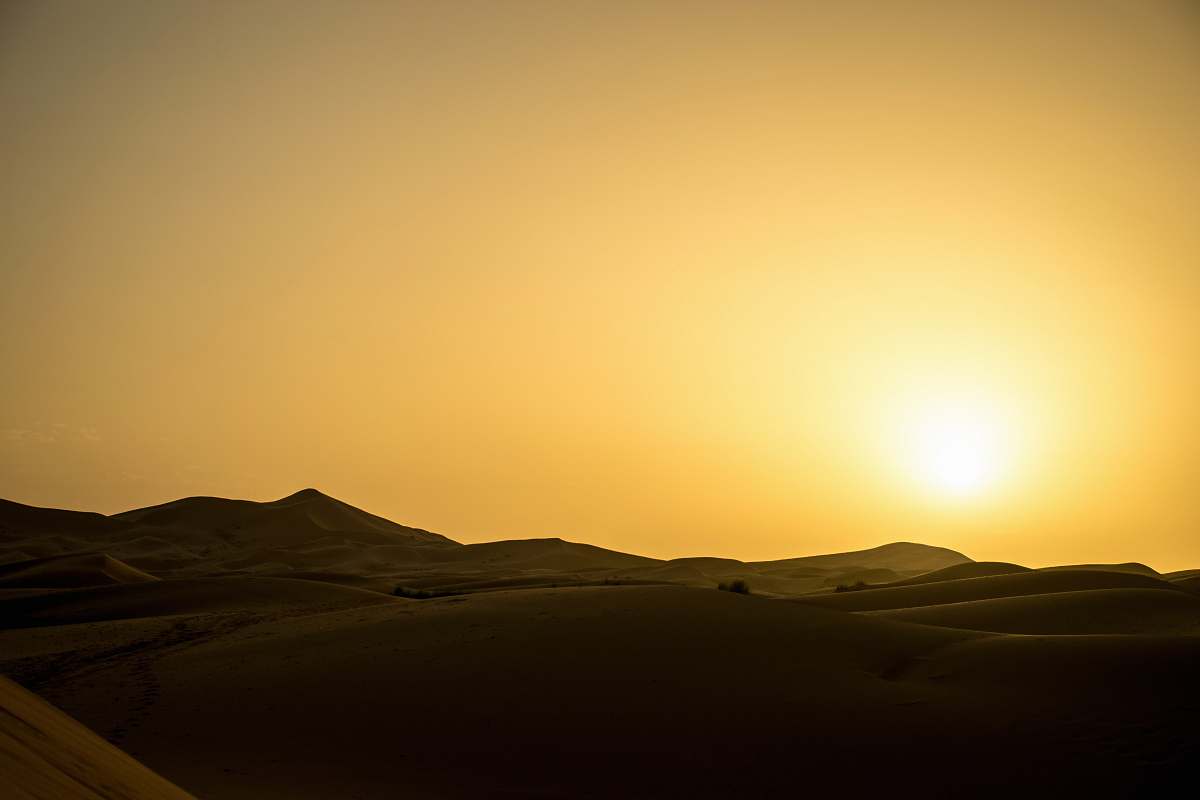 desert landscape photography of desert soil