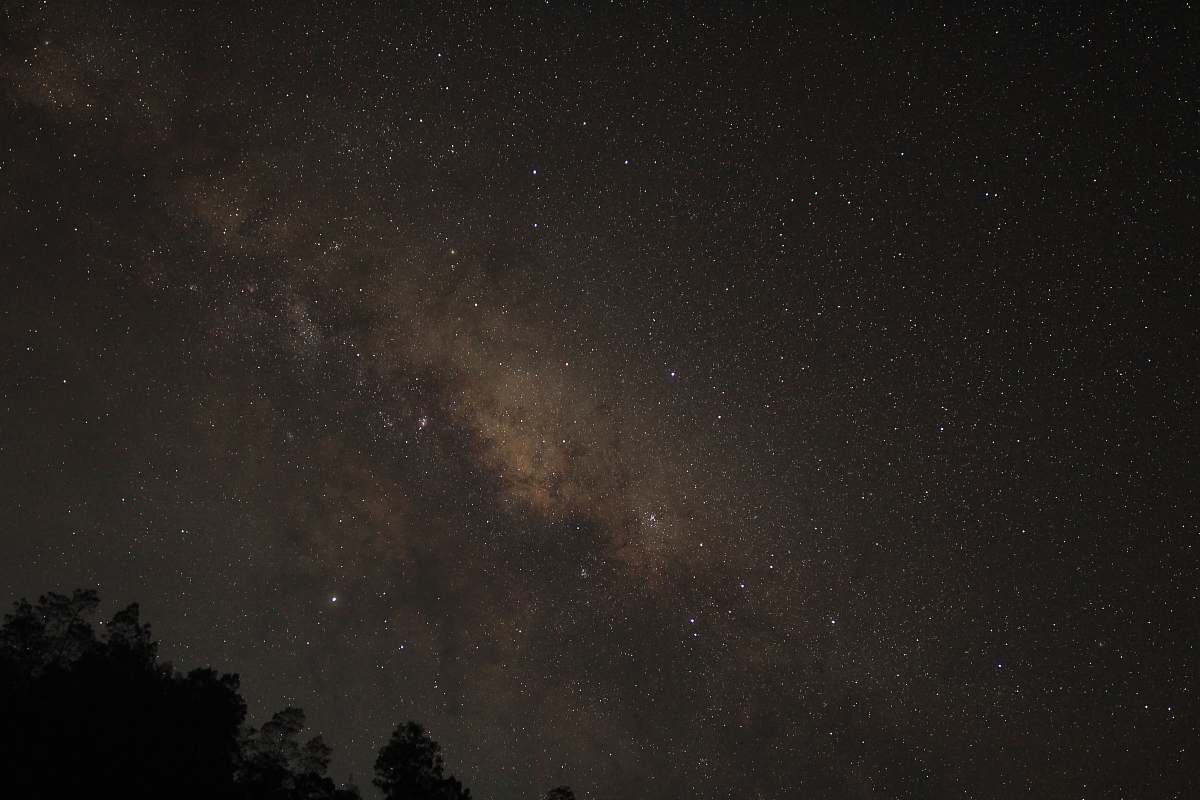 night silhouette of trees during night time galaxy