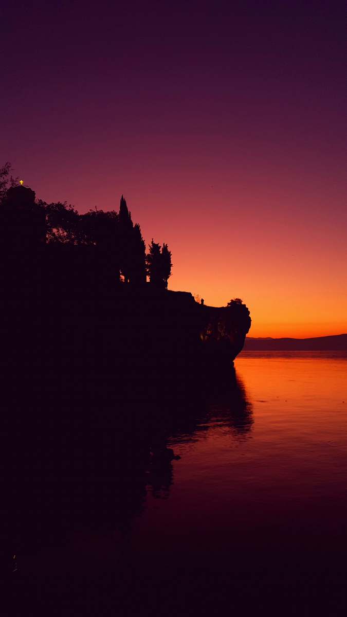 nature silhouette of trees near body of water dawn