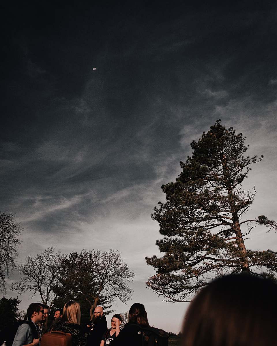 human group of people gathering near tall trees during night time nature