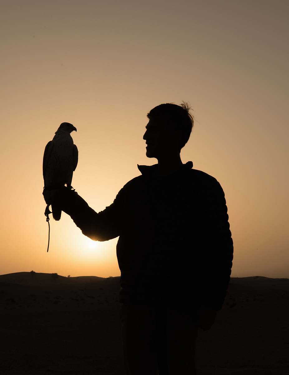 silhouette man holding bird silhouette photography human
