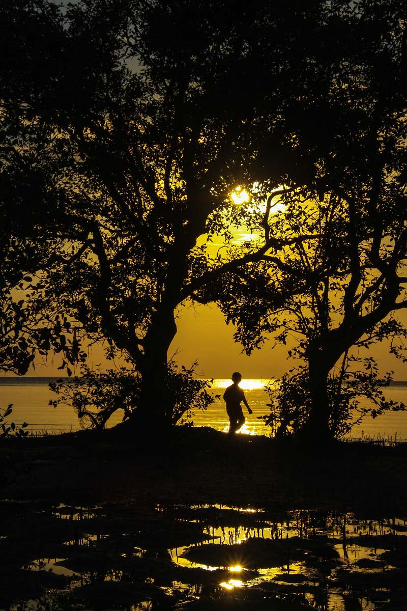 human silhouette of boy standing near body of water during golden hour sunlight