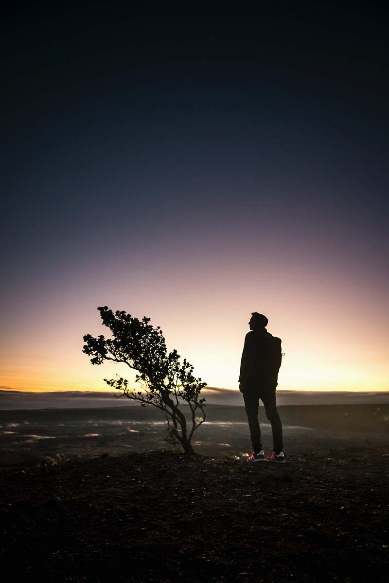 human silhouette of man standing beside tree during sunset people