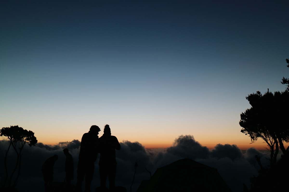 Capture the essence of love and adventure with this stunning silhouette of a couple standing atop a majestic mountain, framed by a lone tree. The dramatic contrast against the evening sky makes this image perfect for travel blogs, romantic themes, or outdoor lifestyle content. Ideal for illustrating moments of connection, exploration, and the beauty of nature, this photograph serves as an inspiring backdrop for various creative projects.