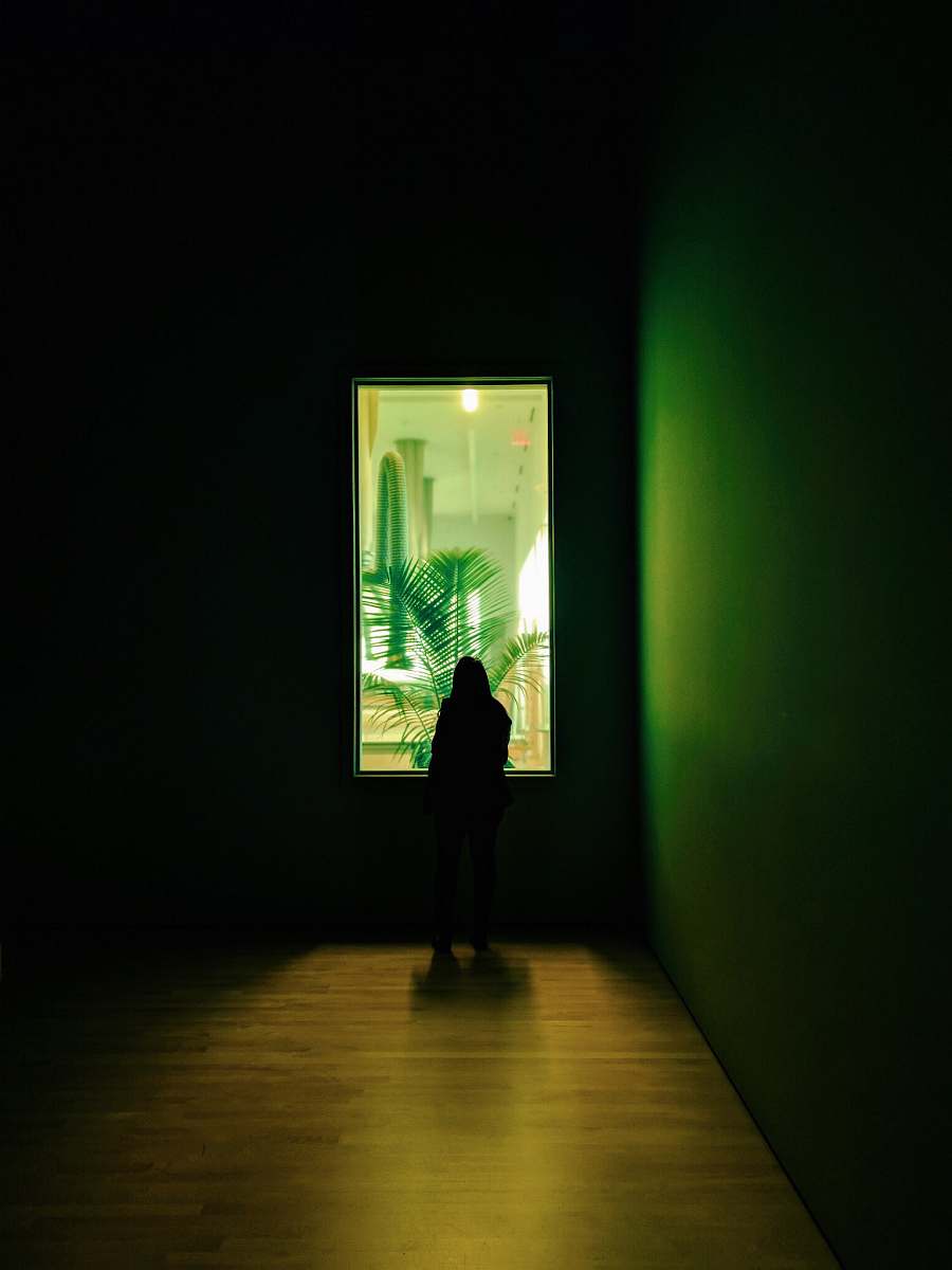 silhouette silhouette photo of person looking outside the window art