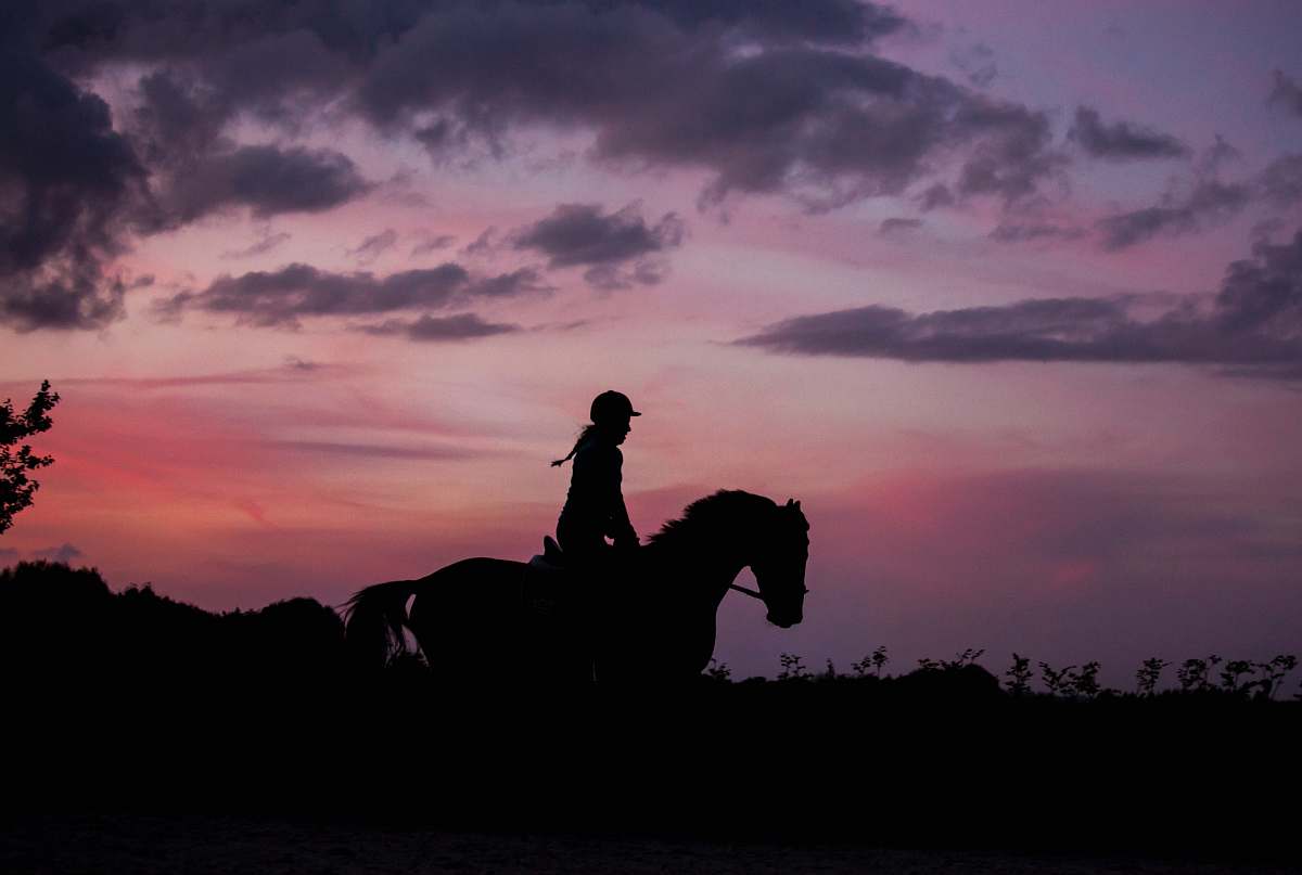 human woman riding horse people