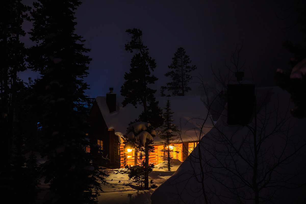 tree lighted lamp on house silhouette