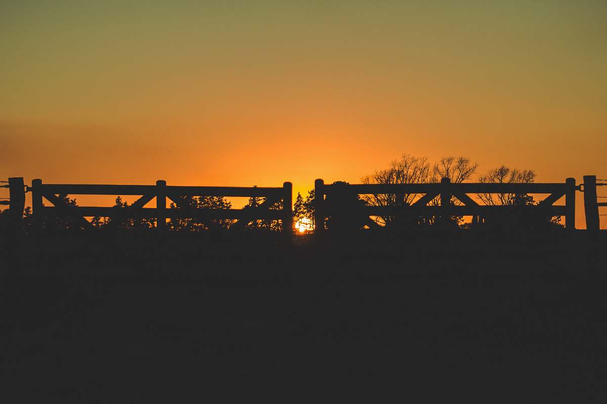 nature fences during golden hour outdoors