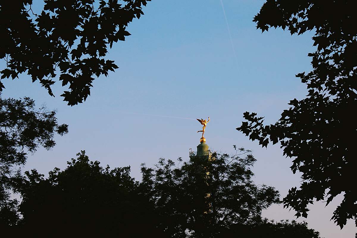 tree gold-colored angel statue plant