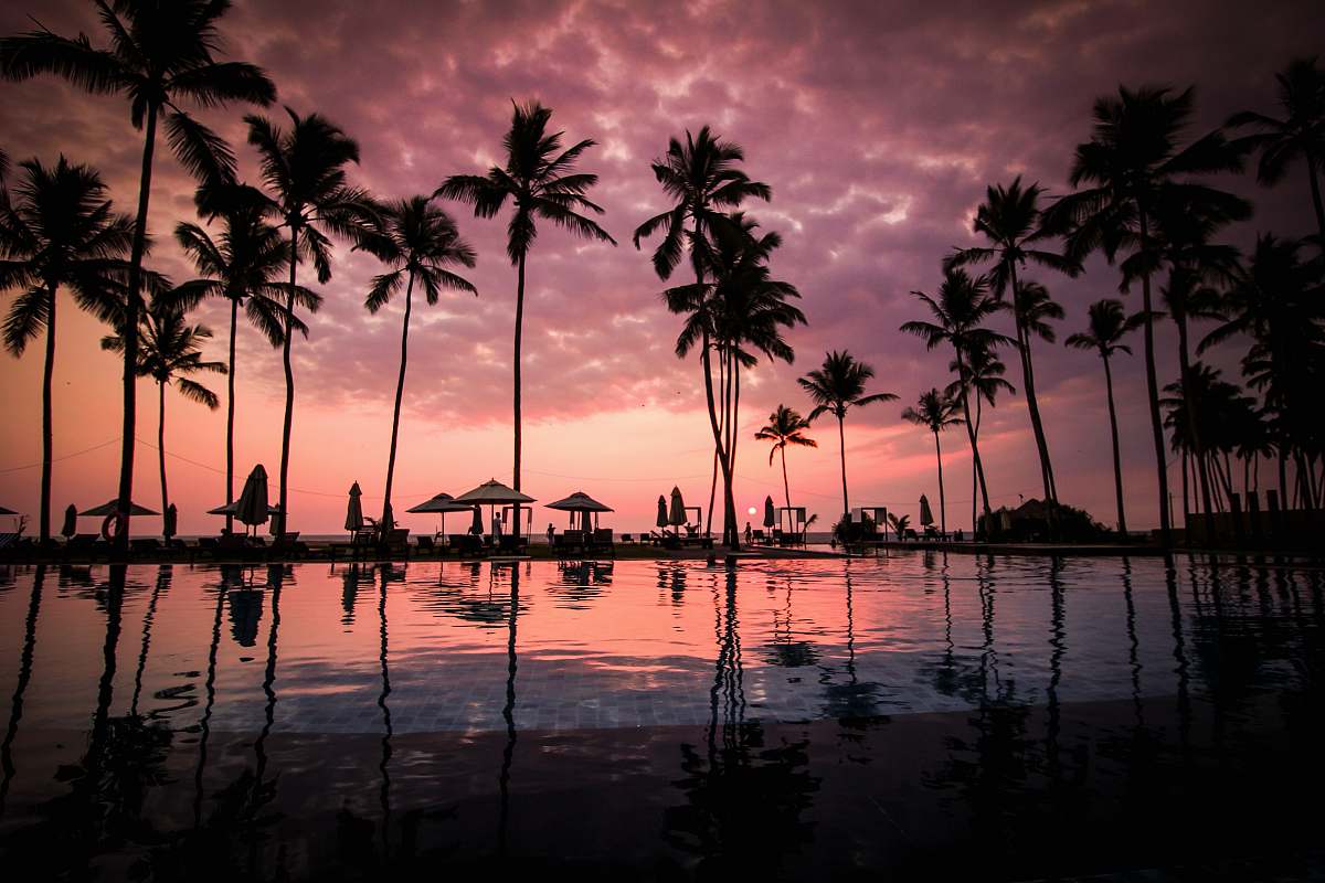 sunset low angle photo of coconut trees beside body of water tropical