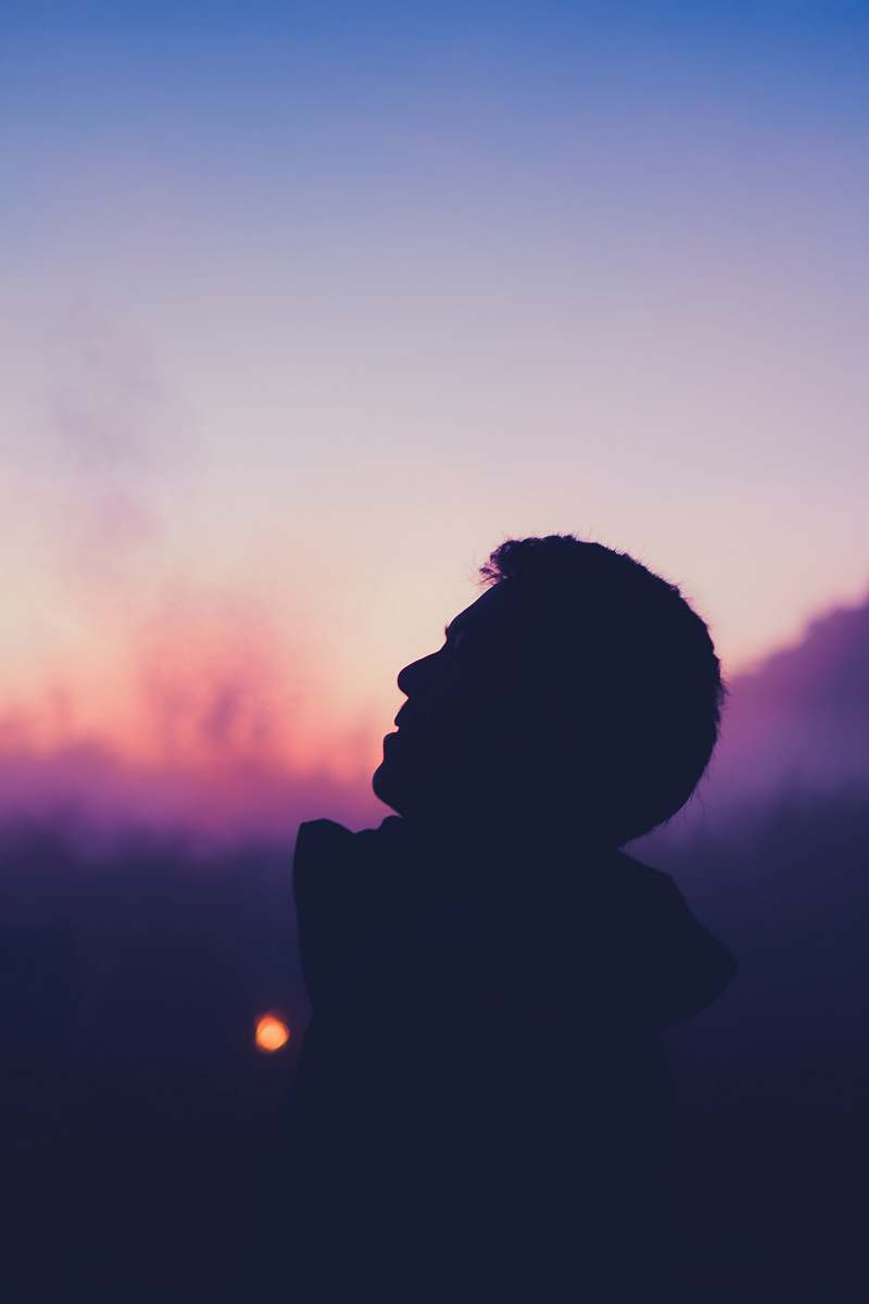 nature man looking up outdoors