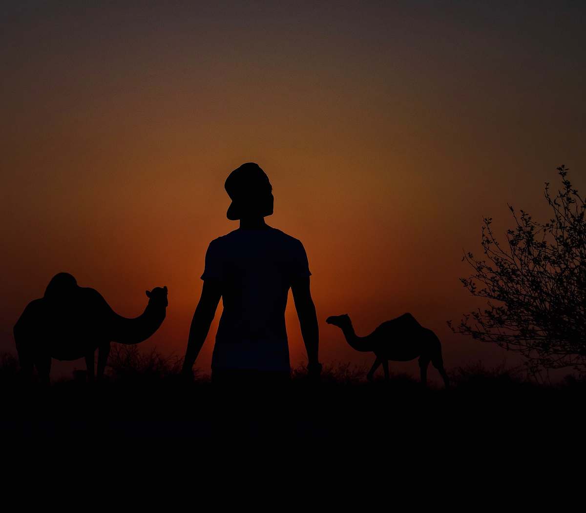 human man near camel photo person