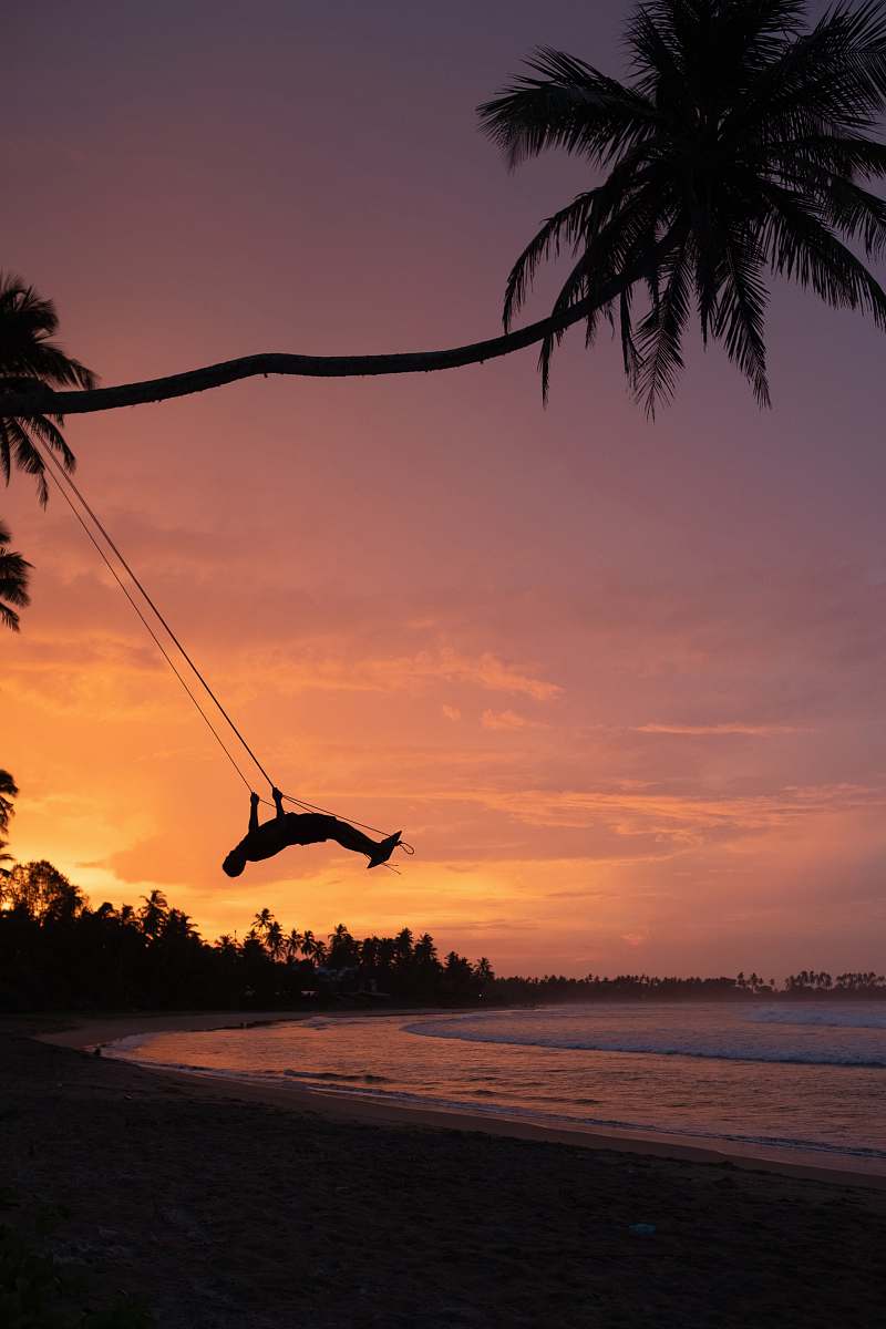 adventure palm tree leisure activities