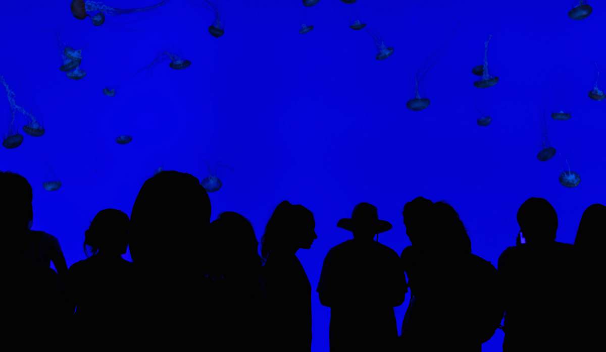 people people silhouettes with blue background blue