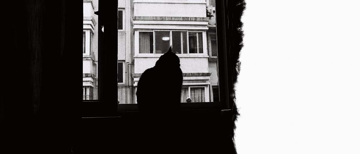black-and-white person sitting in front of window panel grey