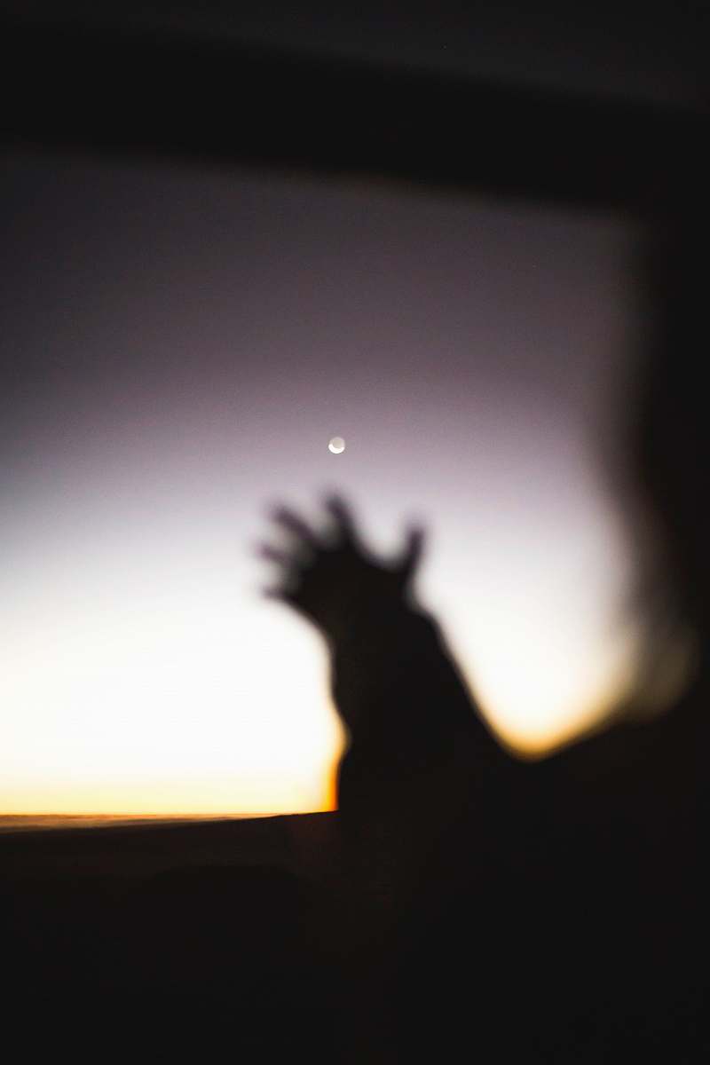 nature shadow of person's hand outdoors