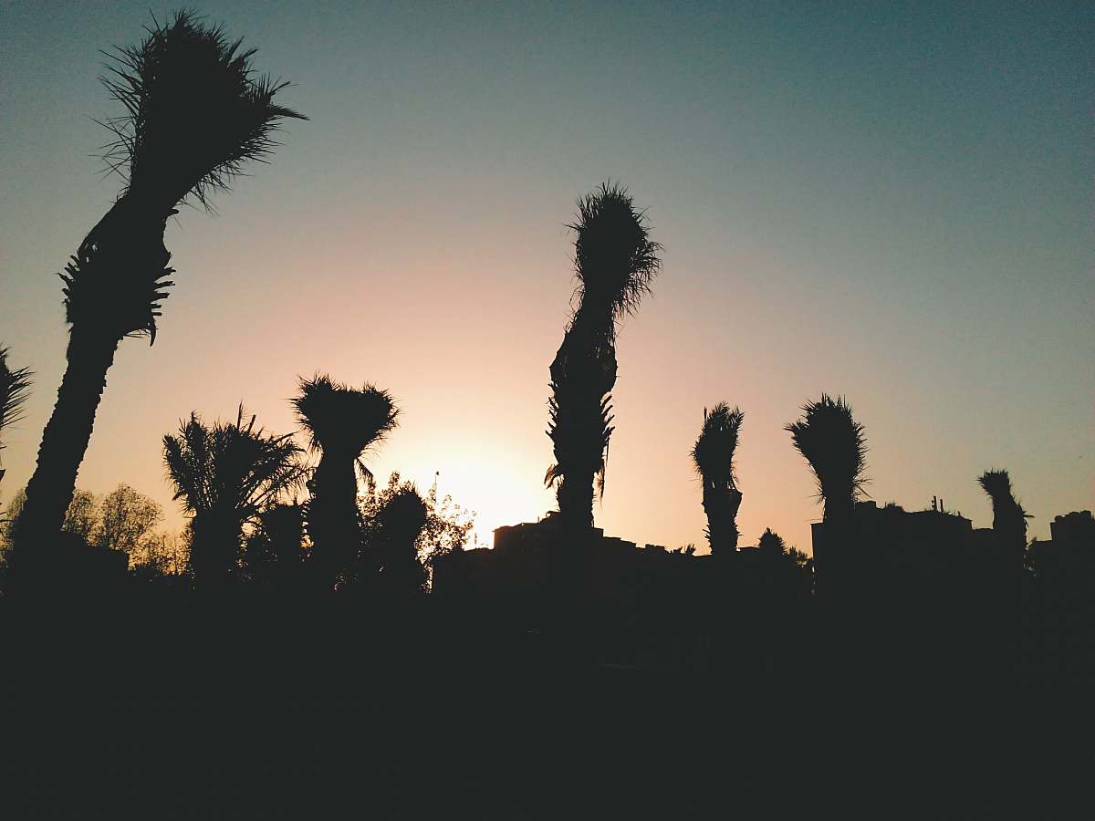 nature silhouette of a field at sunset outdoors