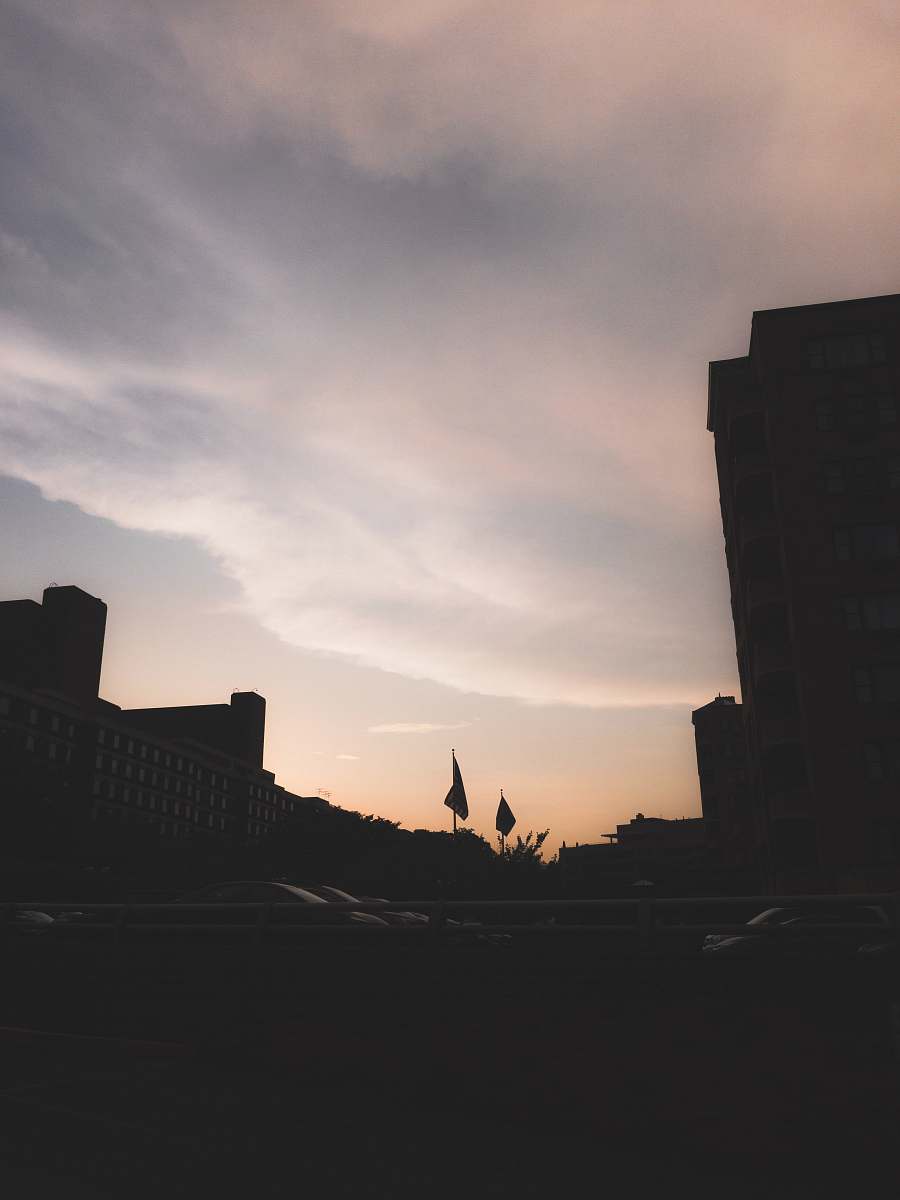 nature silhouette of building and vehicles building