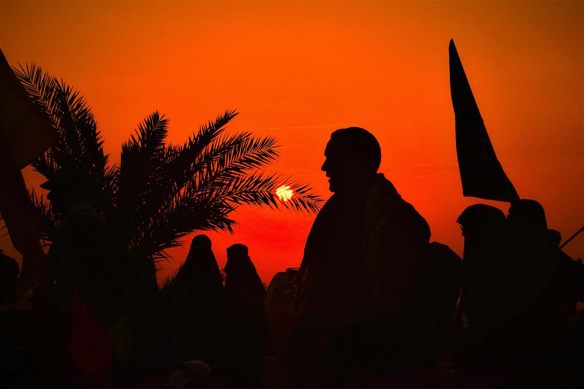 human silhouette of crowd near palm tree person