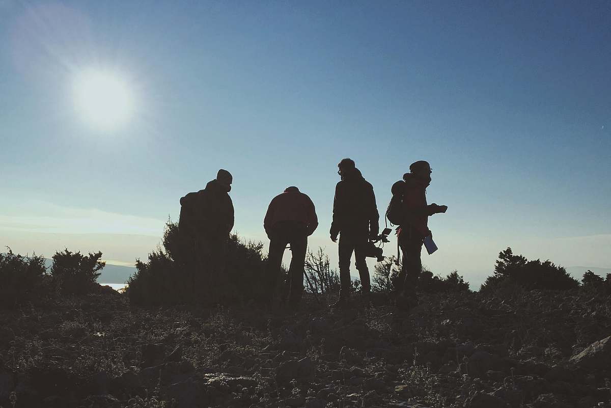people silhouette of four men standing near green plant hiking