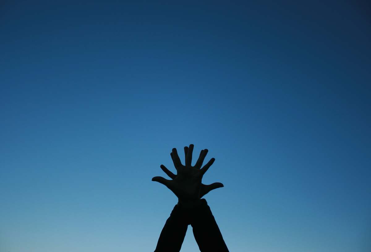 nature silhouette of hands blue
