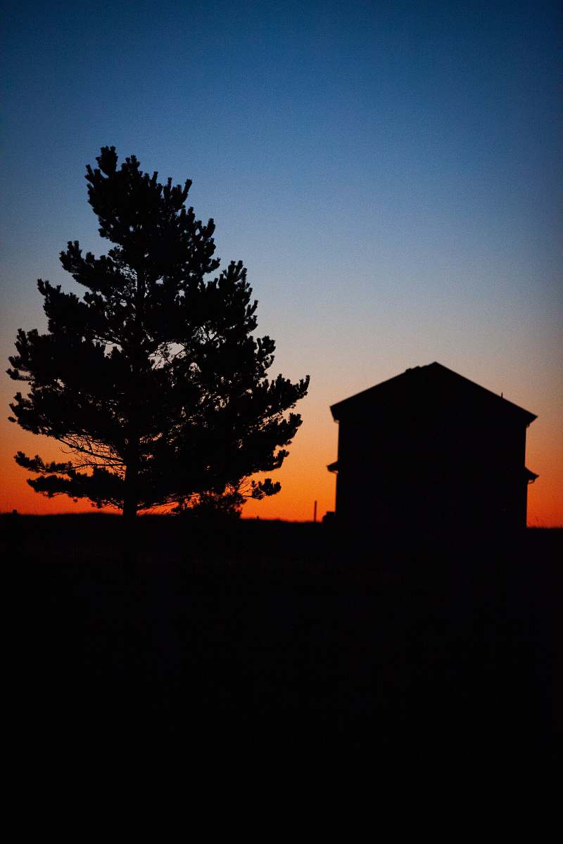 nature silhouette of house and tree during golden hour outdoors